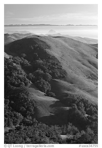 Hills, with coasline and Morro rock in the distance. Morro Bay, USA (black and white)
