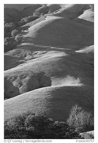 Emerald hills. California, USA