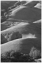 Emerald hills. Morro Bay, USA ( black and white)