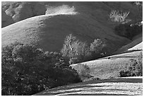 Pastures and hills. California, USA (black and white)