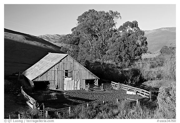 Barn and cattle-raising area. Morro Bay, USA (black and white)