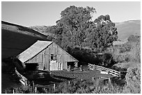 Barn and cattle-raising area. Morro Bay, USA ( black and white)