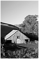 Old wooden barn. California, USA (black and white)