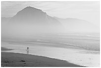 Couple and dog reflected in wet sand, with Morro Rock behind, sunset. Morro Bay, USA (black and white)