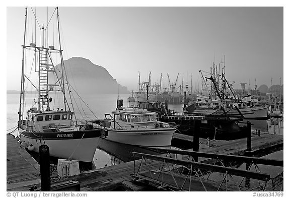 Harbor and Morro Rock, sunset. Morro Bay, USA (black and white)