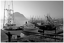 Harbor and Morro Rock, sunset. Morro Bay, USA (black and white)