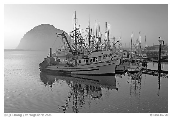 Fishing fleet and Morro Rock, sunset. Morro Bay, USA