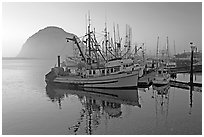 Fishing fleet and Morro Rock, sunset. Morro Bay, USA ( black and white)