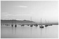 Yachts in calm Morro Bay harbor, sunset. Morro Bay, USA (black and white)