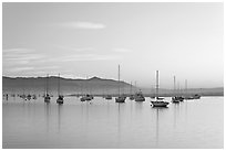 Yachts in calm Morro Bay harbor, sunset. Morro Bay, USA (black and white)