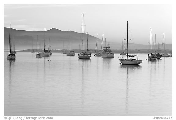 Yachts reflected in calm  Morro Bay harbor, sunset. Morro Bay, USA (black and white)