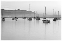 Yachts reflected in calm  Morro Bay harbor, sunset. Morro Bay, USA (black and white)