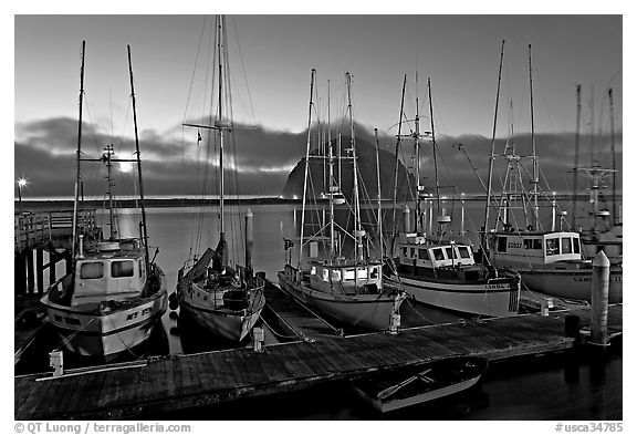 Fishing boats at dusk. Morro Bay, USA (black and white)