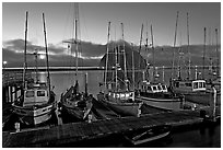 Fishing boats at dusk. Morro Bay, USA (black and white)