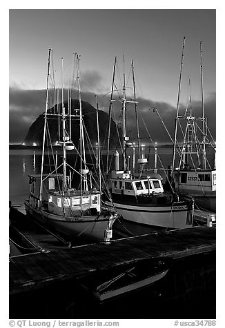 Lighted fishing boats and Morro Rock. Morro Bay, USA (black and white)
