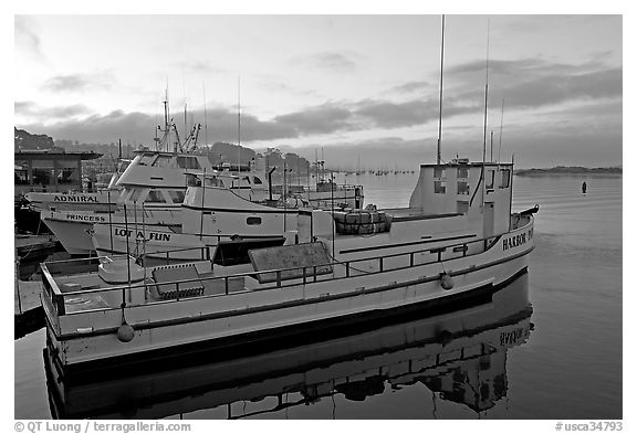 Harbor, sunrise. Morro Bay, USA (black and white)