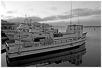 Harbor, sunrise. Morro Bay, USA (black and white)