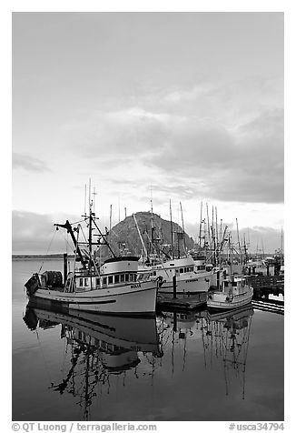 Fishing fleet and Morro Rock, sunrise. Morro Bay, USA (black and white)