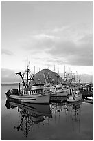 Fishing fleet and Morro Rock, sunrise. Morro Bay, USA (black and white)