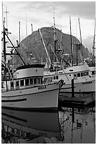 Fishing boats and Morro Rock, sunrise. Morro Bay, USA ( black and white)