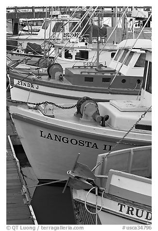Close-up of colorful fishing boats. Morro Bay, USA (black and white)