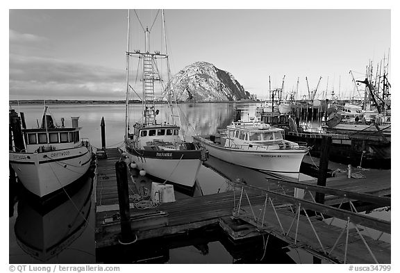 Harbor and Morro Rock, early morning. Morro Bay, USA (black and white)