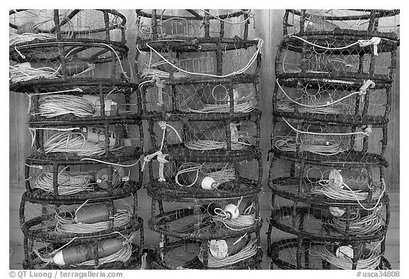 Crab traps. Morro Bay, USA