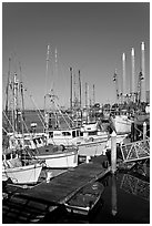 Fishing boats and power plant. Morro Bay, USA ( black and white)