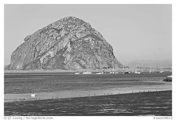 Yachts and Morro Rock. Morro Bay, USA