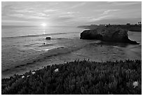 Iceplant and seastack, Natural Bridges State Park, sunset. Santa Cruz, California, USA (black and white)