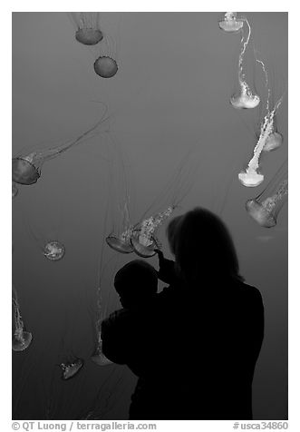 Woman holding child in front of jellyfish, Monterey Bay Aquarium. Monterey, California, USA