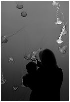 Woman holding child in front of jellyfish, Monterey Bay Aquarium. Monterey, California, USA (black and white)