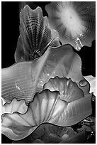 Glass artwork inspired by jellies, Monterey Bay Aquarium. Monterey, California, USA ( black and white)