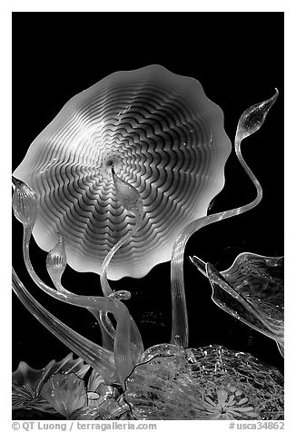 Glass artwork inspired by jellyfish, Monterey Bay Aquarium. Monterey, California, USA (black and white)