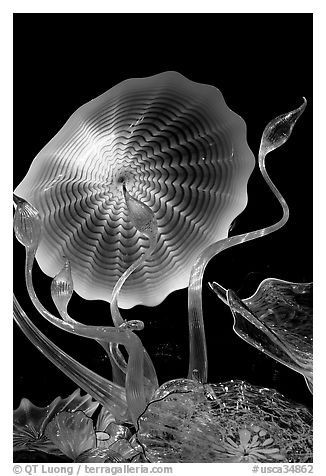 Glass artwork inspired by jellyfish, Monterey Bay Aquarium. Monterey, California, USA