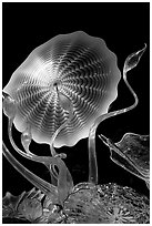 Glass artwork inspired by jellyfish, Monterey Bay Aquarium. Monterey, California, USA ( black and white)