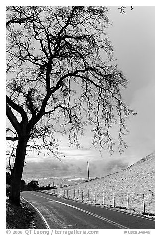 Mount Hamilton road winding on fresh snow covered hills. San Jose, California, USA