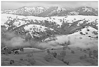 Snow on top of green hills of Mount Hamilton Range. San Jose, California, USA ( black and white)