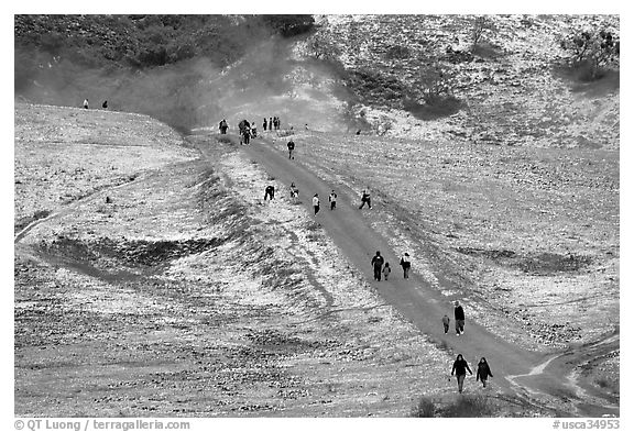 Trail in Joseph Grant Park after a rare snowfall. San Jose, California, USA (black and white)