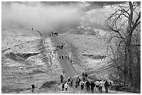 Residents visiting Joseph Grant Park after a rare snowfall. San Jose, California, USA ( black and white)