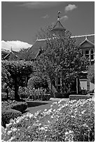 Backyard gardens. Winchester Mystery House, San Jose, California, USA (black and white)