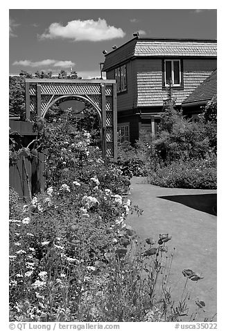 Flowers in backyard. Winchester Mystery House, San Jose, California, USA (black and white)