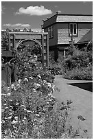 Flowers in backyard. Winchester Mystery House, San Jose, California, USA (black and white)