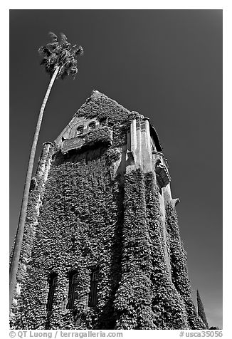 Ivy-covered Tower Hall, San Jose State University. San Jose, California, USA (black and white)