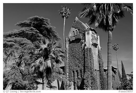 Tower Hall and trees, San Jose State University. San Jose, California, USA (black and white)