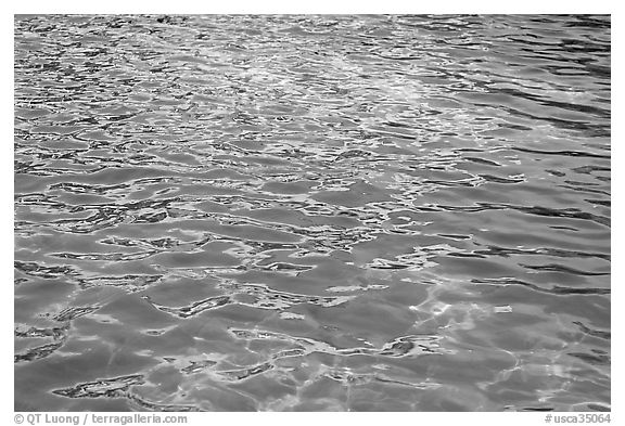 Basin and reflections. San Jose, California, USA (black and white)