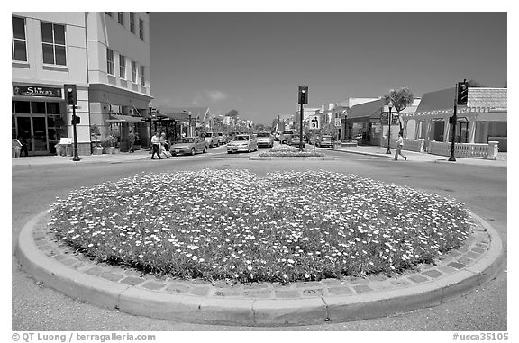 Flower circle, Castro Street, Mountain View. California, USA (black and white)