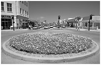 Flower circle, Castro Street, Mountain View. California, USA ( black and white)