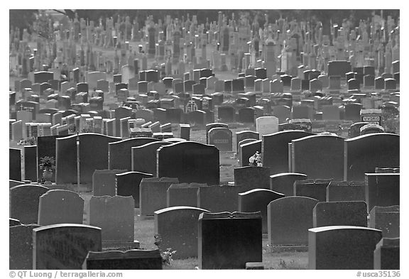 Headstones, Colma. California, USA (black and white)