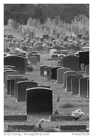 Memorial Park, Colma. California, USA (black and white)